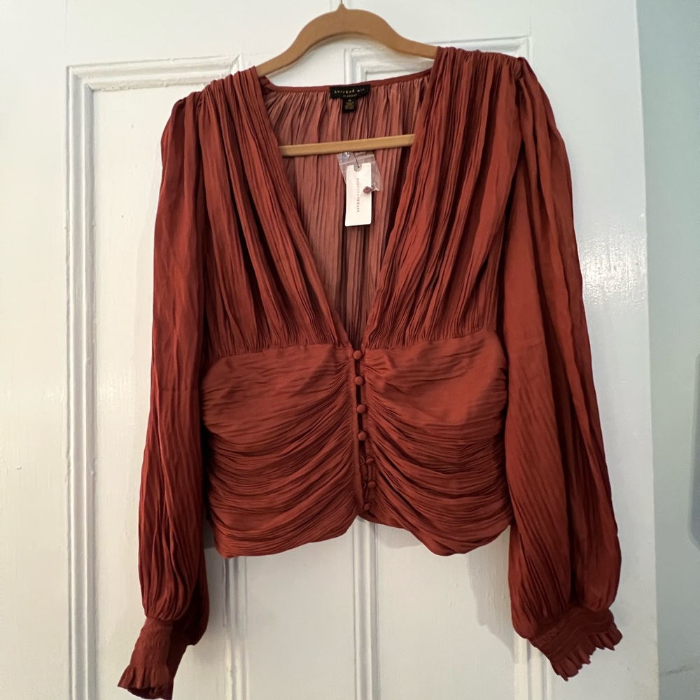 Current Air Cinnamon Colored Pleated Blouse